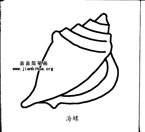 海螺简笔画
