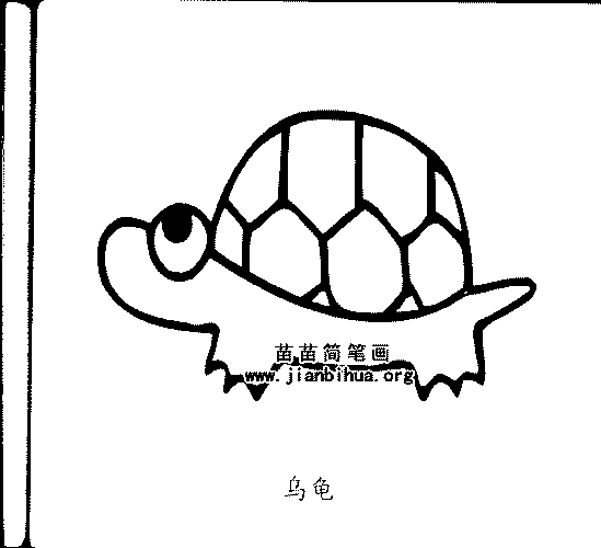 乌龟简笔画