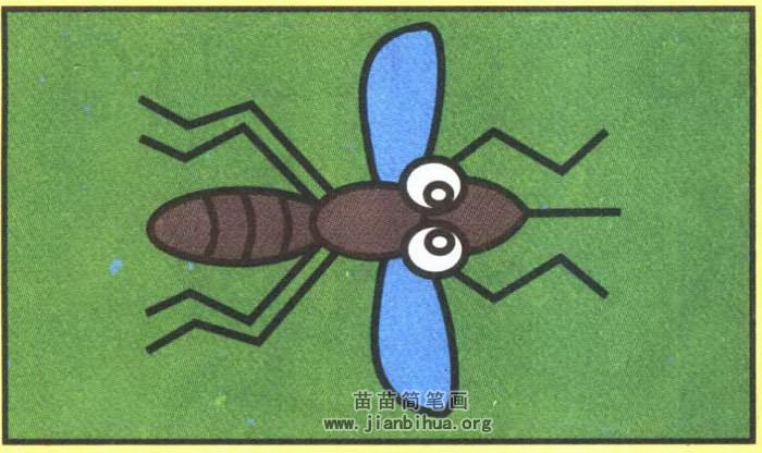 蚊子简笔画