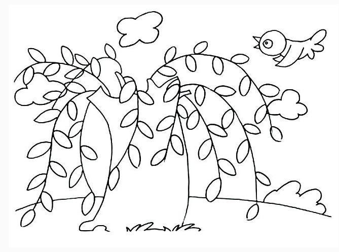 柳树的简笔画