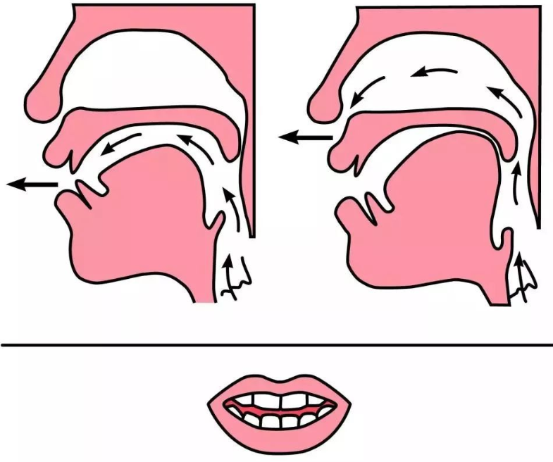 平舌音和翘舌音有哪些