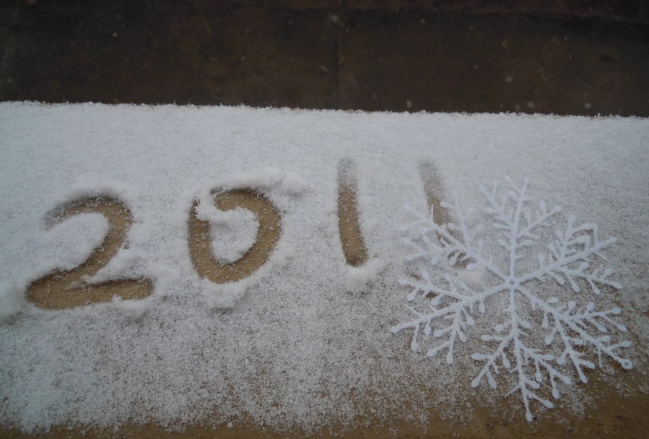 小学一年级作文10篇，2011年的第一场雪